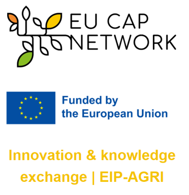 Logo EU CAP NETWORK_2